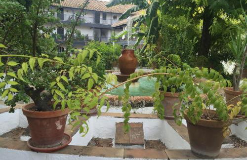 Oasis en el centro de Sevilla - Foto 37