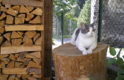 Casa Zebrusius - Bepi&Piera's Suite - Foto 28