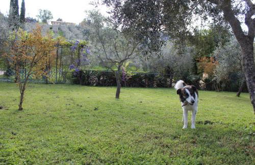 Agriturismo La Fonte - Photo 49