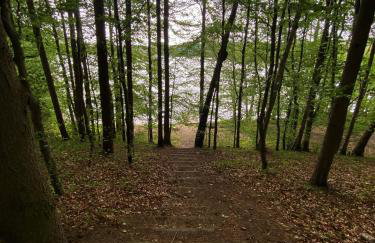 DOM NA KASZUBACH, SAUNA i BALIA - Foto 40