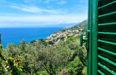 Il sogno del capitano - Photo 1