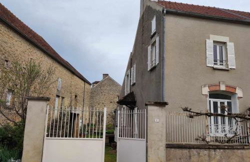 La glycine - Foto 43