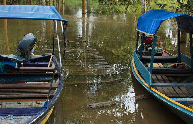 Excursión a la isla Cacao y visita a la comunidad de San Antonio - Foto 1