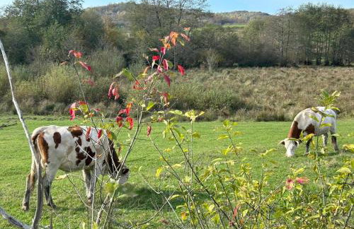 Seosko Imanje Na Obali Rijeke - Foto 52