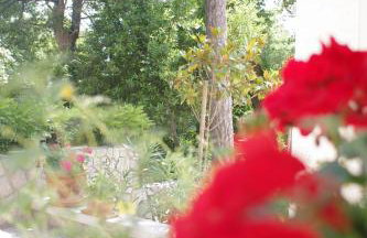 Guest House Villa Dagmar - EXCLUSIVE - Foto 21