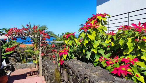 A Fonte - Photo 5, Garden