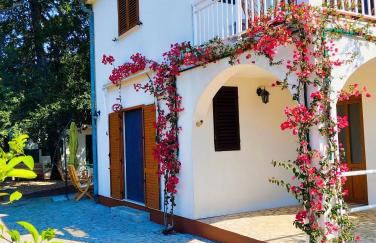 Holiday house Pinus Pinea - Foto 8