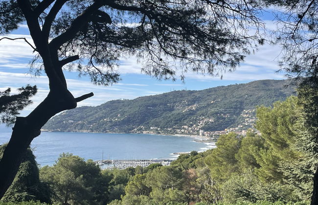 Apartment A1 (AND110) - Foto 20