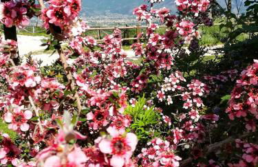 La Staccionata - Foto 5