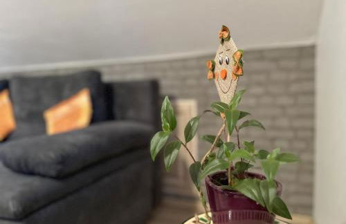 Am Sonnenblick - Foto 6