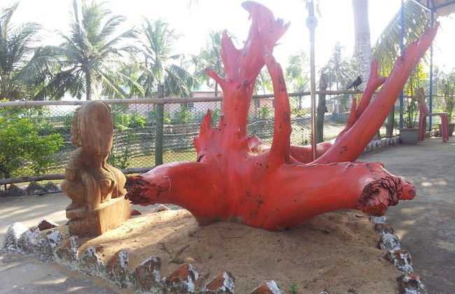 Daaven's Island Resort - Photo 1