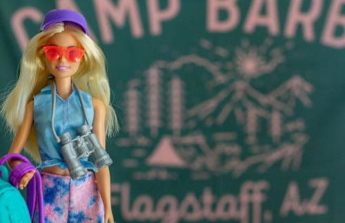 Flagstaff Barbie Dream House - Photo 26