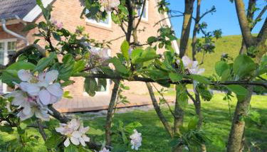 Friesenperle - Foto 4, Garden, Garden view