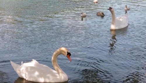 Aalens schönste Aussicht - Foto 4