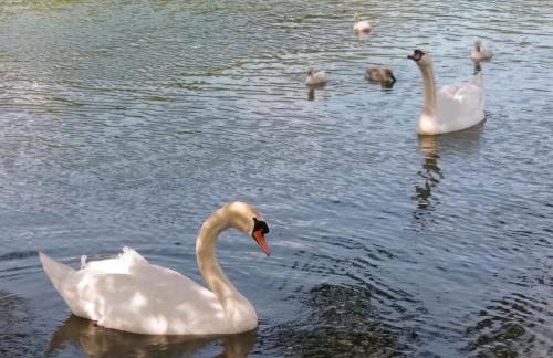 Aalens schönste Aussicht - Foto 4