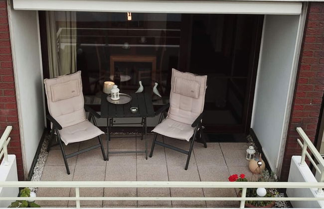 Herring Gull - Foto 21