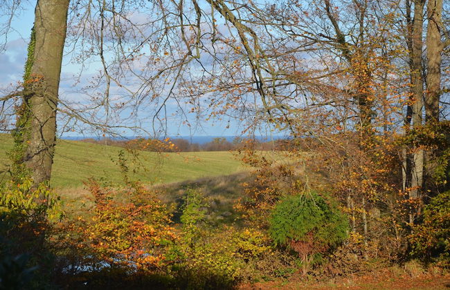 Lehnsgaard Ranch - Foto 45