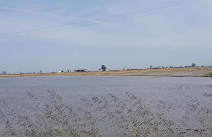 Apartamento El Fangar - Foto 43