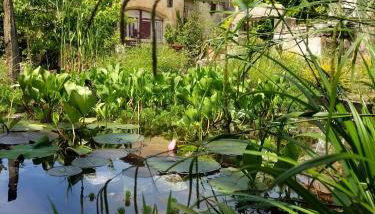 Gîte de la Truie qui File - Foto 3, Garden