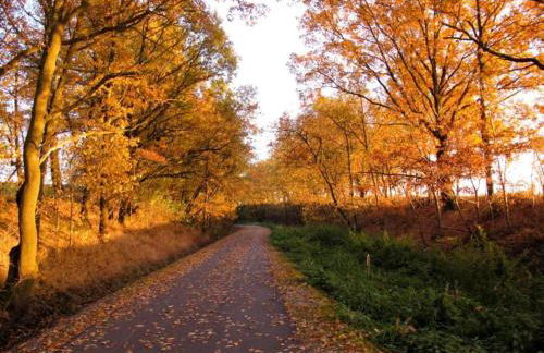 Ferienhaus in Vogtland - Foto 52