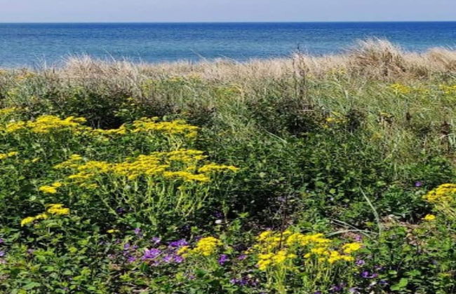 10 Person Holiday Home in Marstal - Foto 23