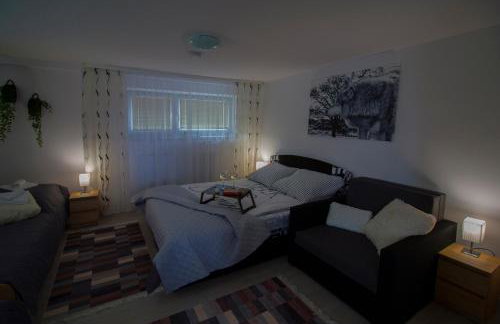 Apartamenty Bieszczady - Foto 43