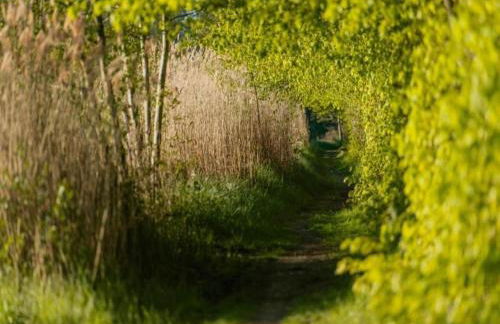 Havel Houseboat Serenity - Foto 27