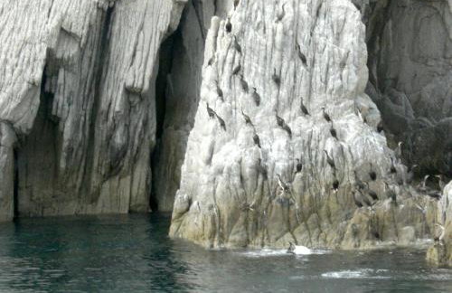 Spacious Villa close to an amazing Sithonia beach - Foto 48