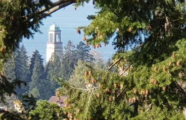 Alpenblick 3 - Foto 19