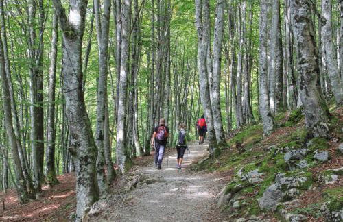 Casa Rural Areano - Foto 59