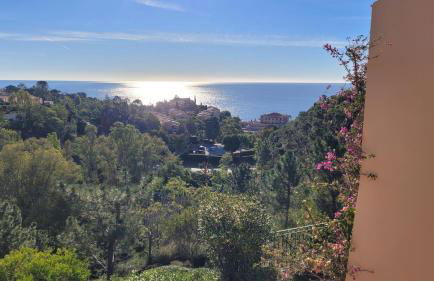 Seaview house, close Cannes, pool, garden. garage - Foto 6