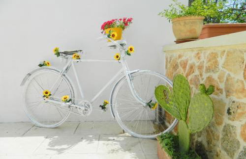 Casa Vrani - Foto 24