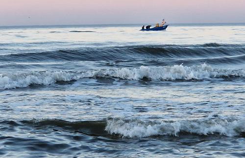 Wydmy Wiatr - Foto 45