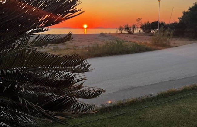 Coralli Hotel - Foto 50