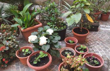 Ampio appartamento in centro - Foto 44