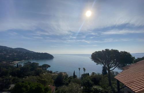 Appartement T2 classé 3 étoiles vue mer résidence avec piscine proche plage du Canadel - Foto 20