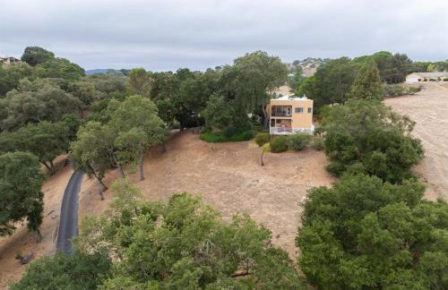 Mid-Mod Hilltop Retreat Views & Local Wildlife - Foto 54