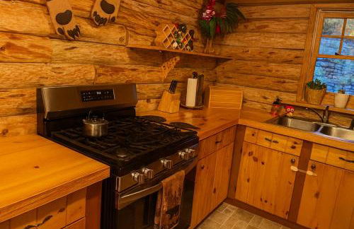 Crabapple-Secluded cabin with pond creek access, hot tube, fire pit in Blue Ridge - Photo 7