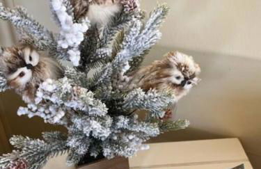 Cozy Wintertime Nantucket Cottage Getaway - Foto 7