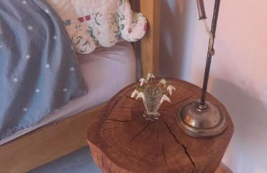 Holly Lodge, Gilchristland Organic Farm cottage - Foto 16