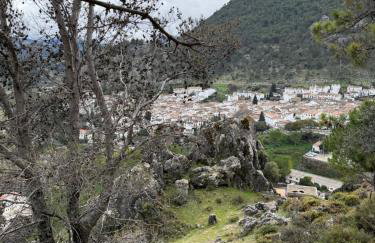 Los Llanos del Campo - Foto 41