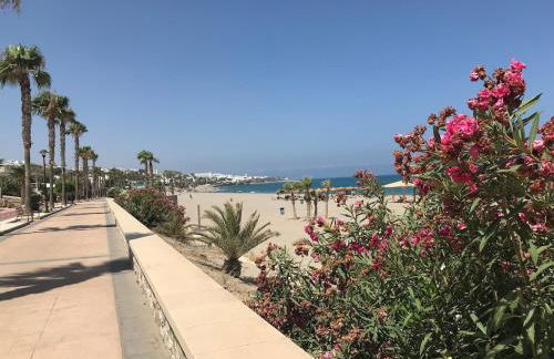 1st floor Penthouse sea and mountain view 5 min stroll to beach - Foto 14