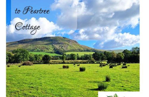 Peartree Cottage - Foto 10