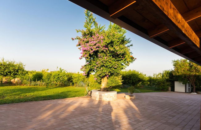 Agriturismo Sant'Andrea - Foto 44