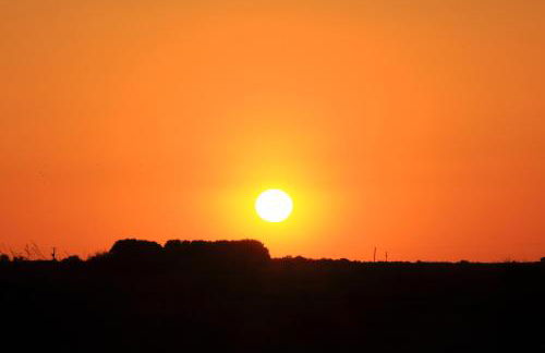 Conifer Cottage - Foto 13