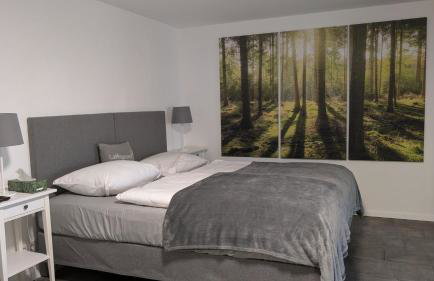 Studio Apartment Bachmann - Photo 12