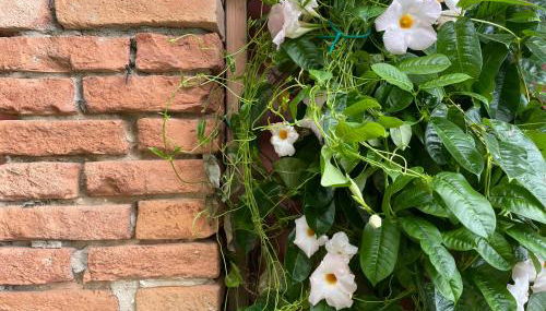 Agriturismo Valdo - Foto 3