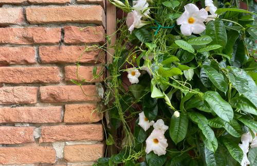 Agriturismo Valdo - Foto 3