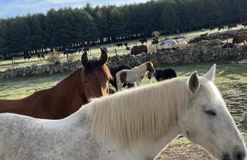 La Nava de Gredos acogedor piso con vistas - Foto 21