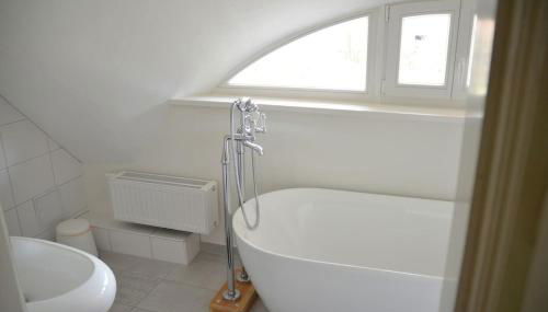 Deichkind - Reetdachhaus direkt am Elbdeich - Foto 4